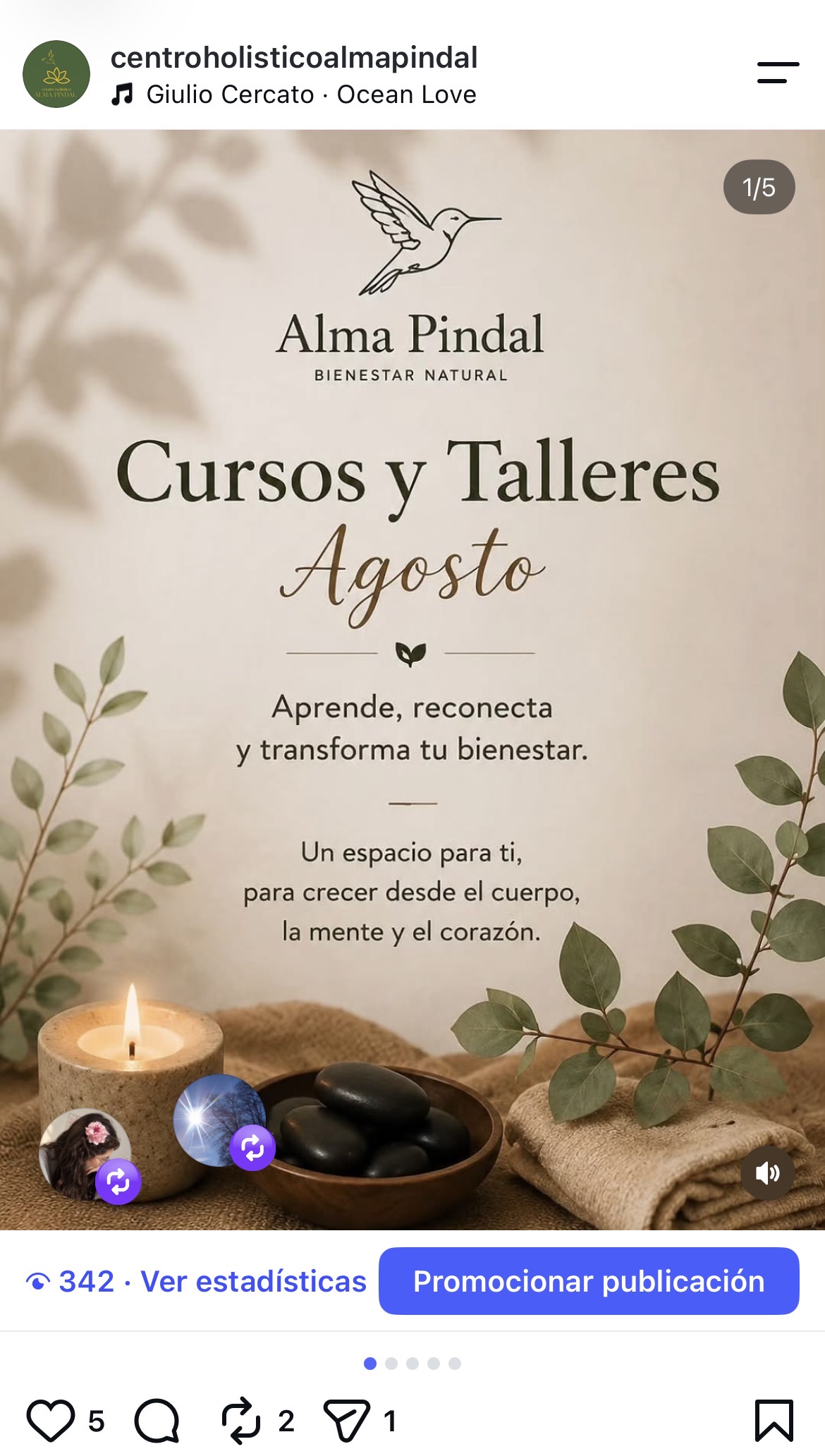Instagram Alma Pindal